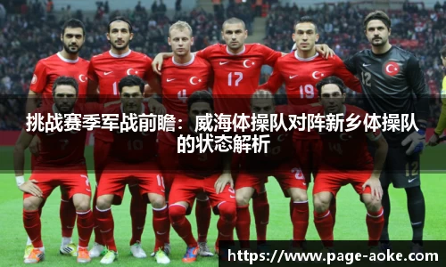 挑战赛季军战前瞻：威海体操队对阵新乡体操队的状态解析